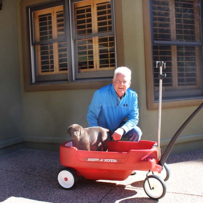 Sophie in a wagon